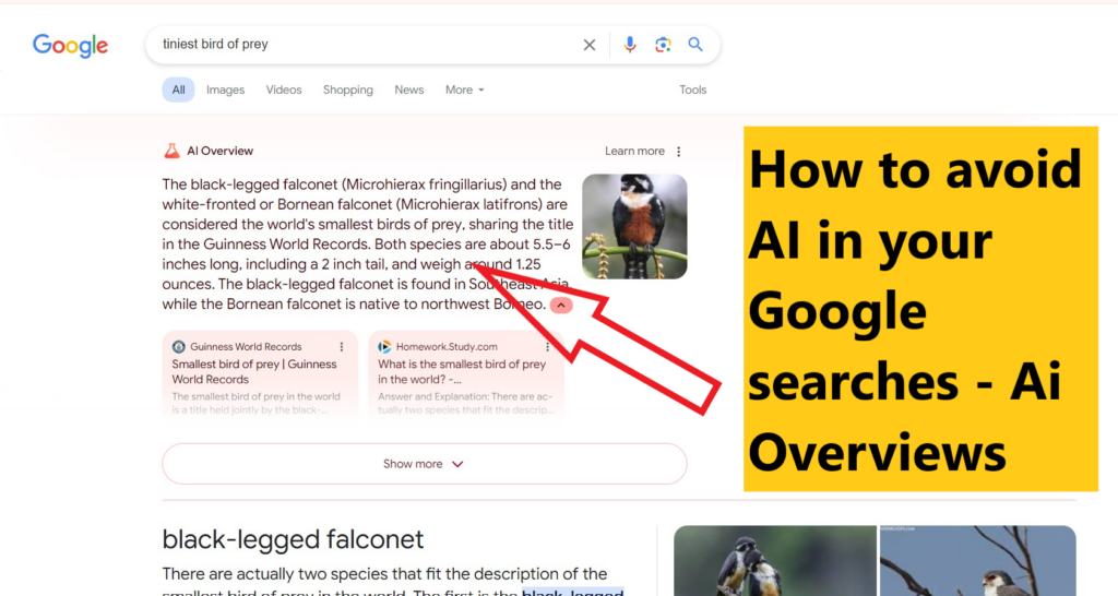 How to avoid AI in your Google searches - Ai Overviews 2024